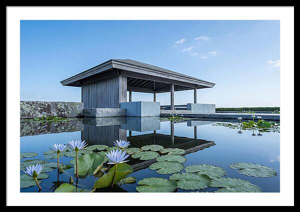 Meditation Pavilion Over Still Lotus Pond