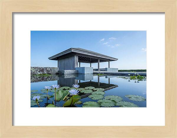 Meditation Pavilion Over Still Lotus Pond