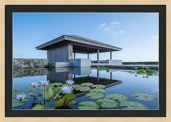 Meditation Pavilion Over Still Lotus Pond