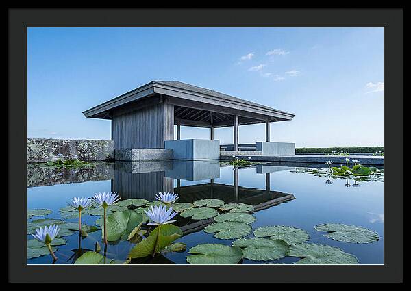 Meditation Pavilion Over Still Lotus Pond
