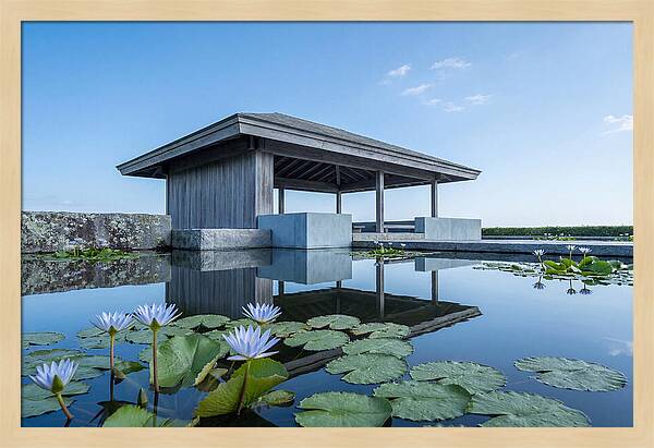 Meditation Pavilion Over Still Lotus Pond