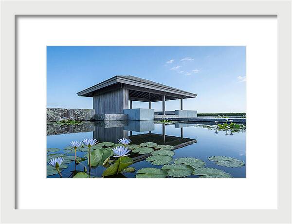 Meditation Pavilion Over Still Lotus Pond