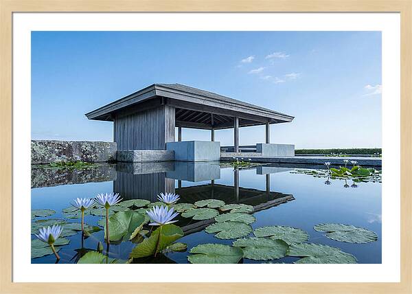 Meditation Pavilion Over Still Lotus Pond