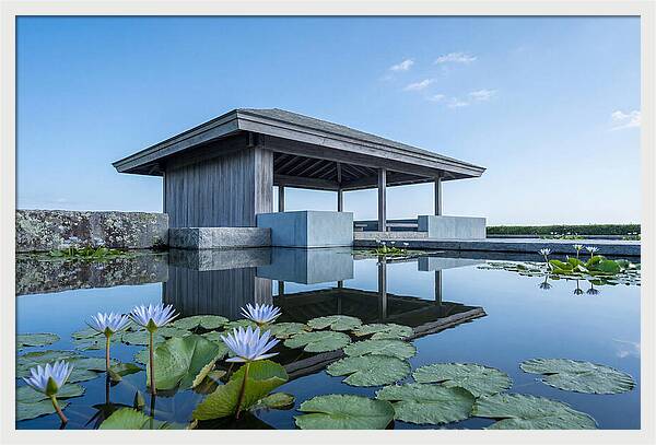 Meditation Pavilion Over Still Lotus Pond