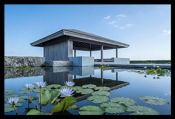 Meditation Pavilion Over Still Lotus Pond