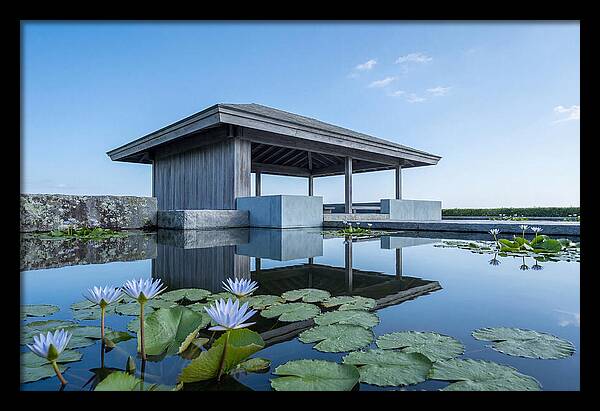 Meditation Pavilion Over Still Lotus Pond