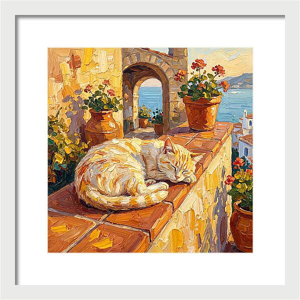 Mediterranean Cat Nap