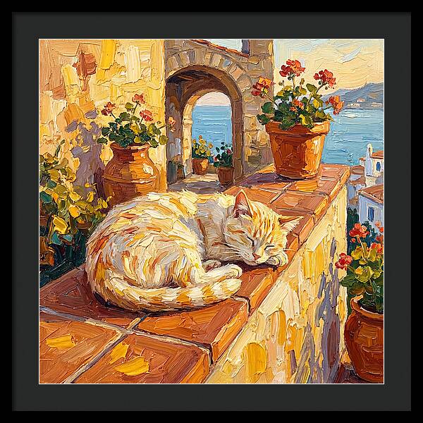 Mediterranean Cat Nap