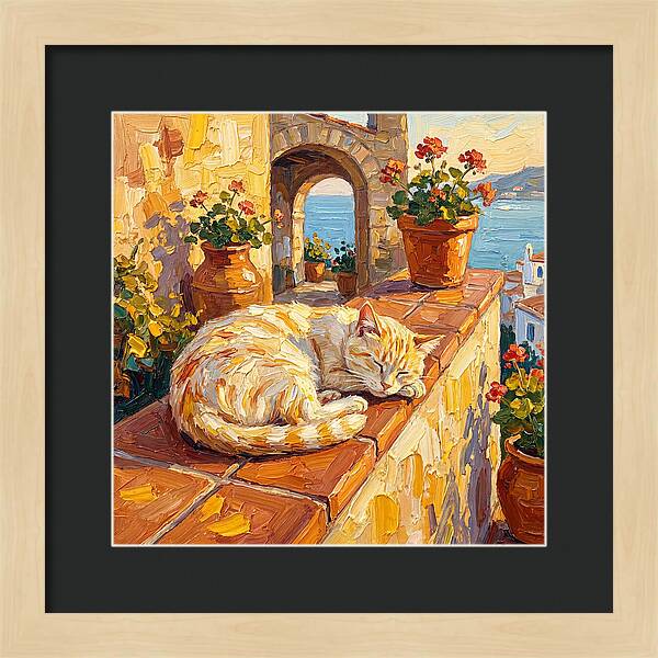 Mediterranean Cat Nap