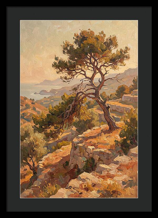 Mediterranean Conifer Serenity