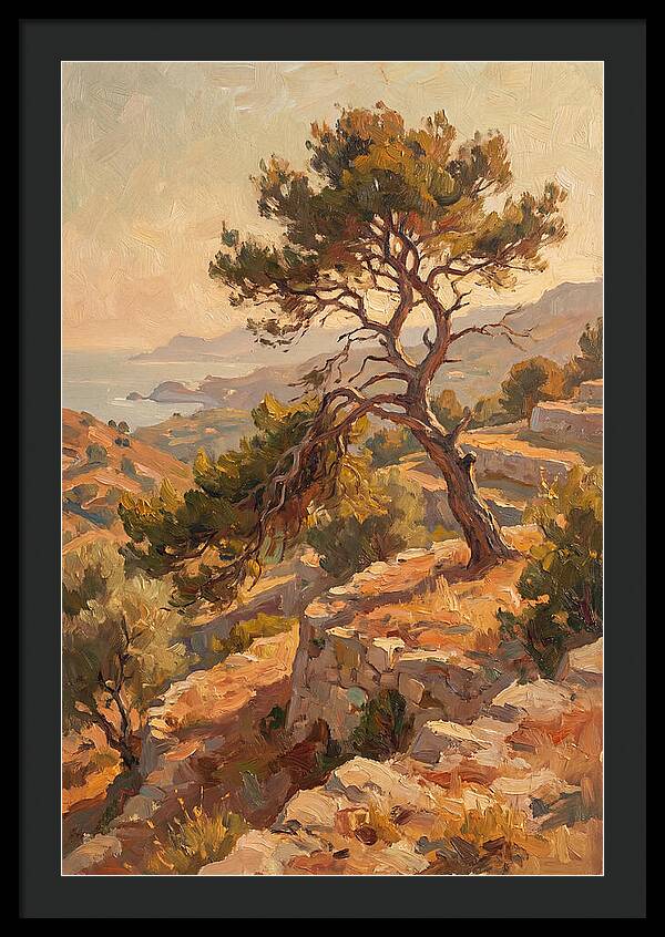 Mediterranean Conifer Serenity