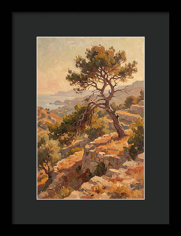 Mediterranean Conifer Serenity