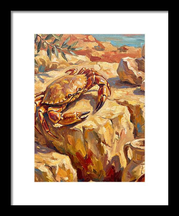 Mediterranean Crab Encounter