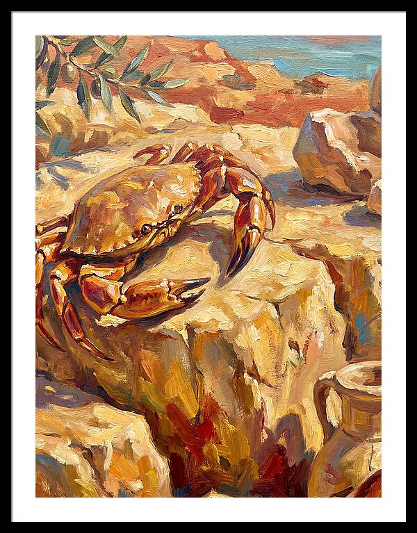 Mediterranean Crab Encounter