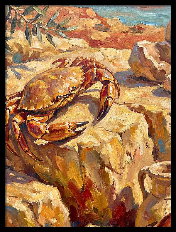 Mediterranean Crab Encounter