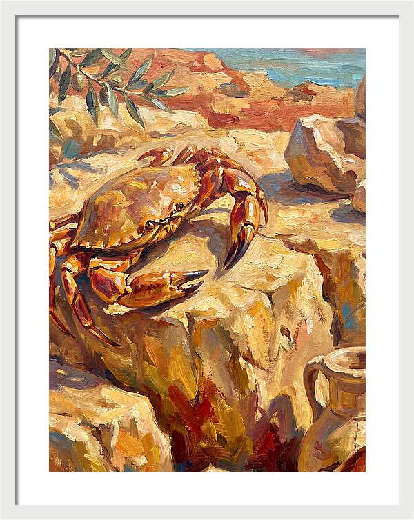 Mediterranean Crab Encounter
