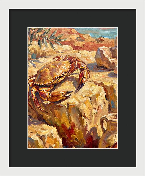 Mediterranean Crab Encounter