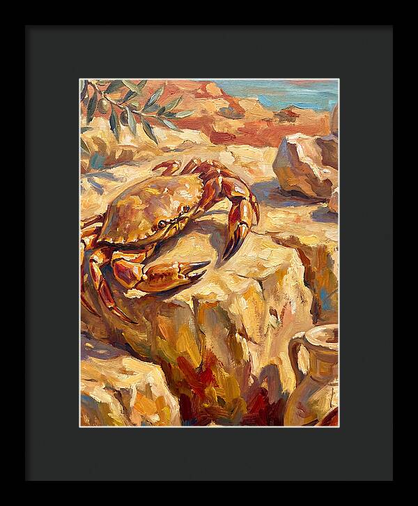 Mediterranean Crab Encounter