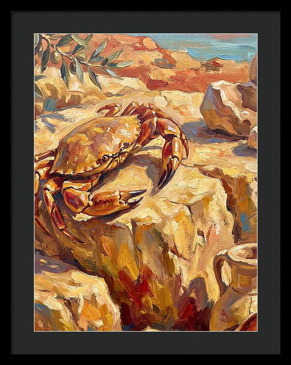 Mediterranean Crab Encounter