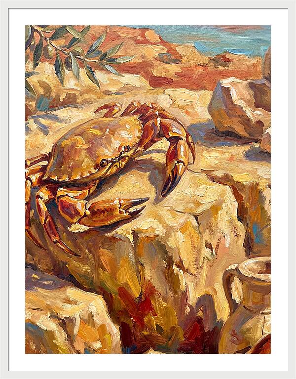 Mediterranean Crab Encounter