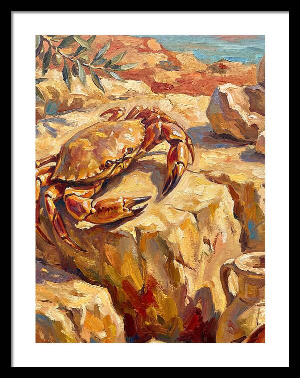 Mediterranean Crab Encounter