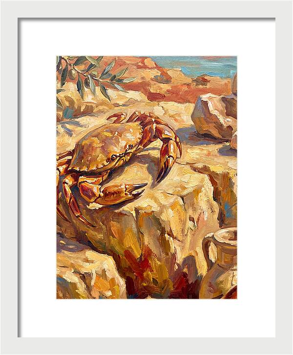 Mediterranean Crab Encounter