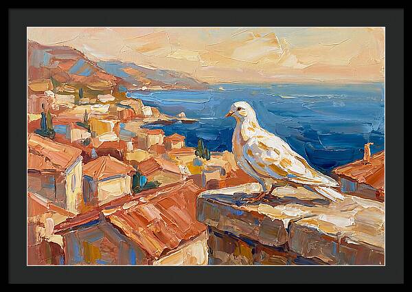 Mediterranean Dove Overlooking Coastline