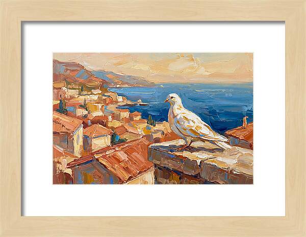 Mediterranean Dove Overlooking Coastline