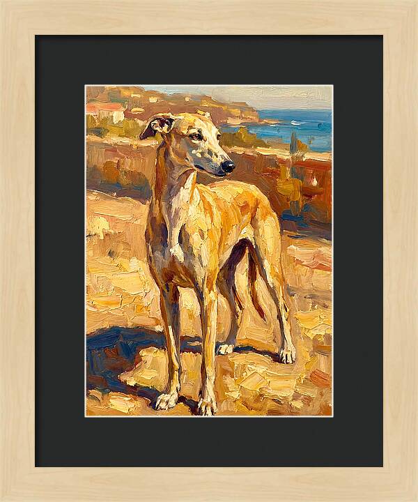 Mediterranean Greyhound Portrait
