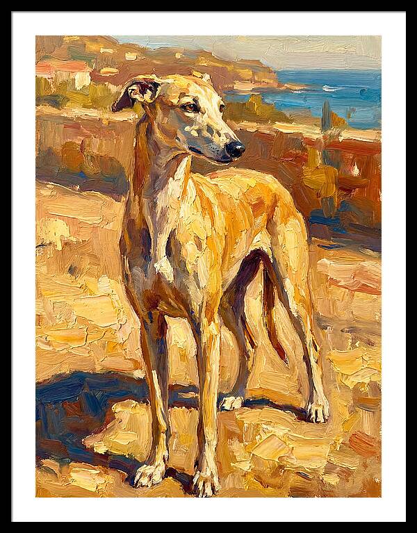 Mediterranean Greyhound Portrait