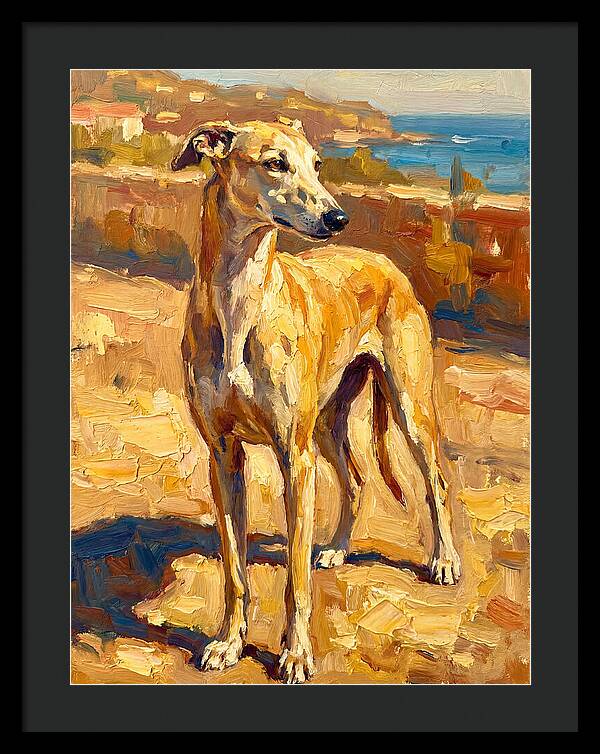 Mediterranean Greyhound Portrait