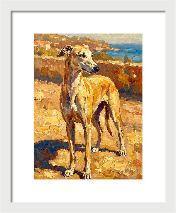 Mediterranean Greyhound Portrait