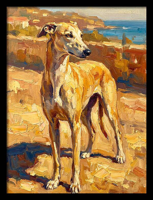 Mediterranean Greyhound Portrait