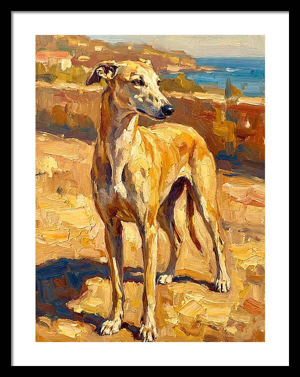 Mediterranean Greyhound Portrait