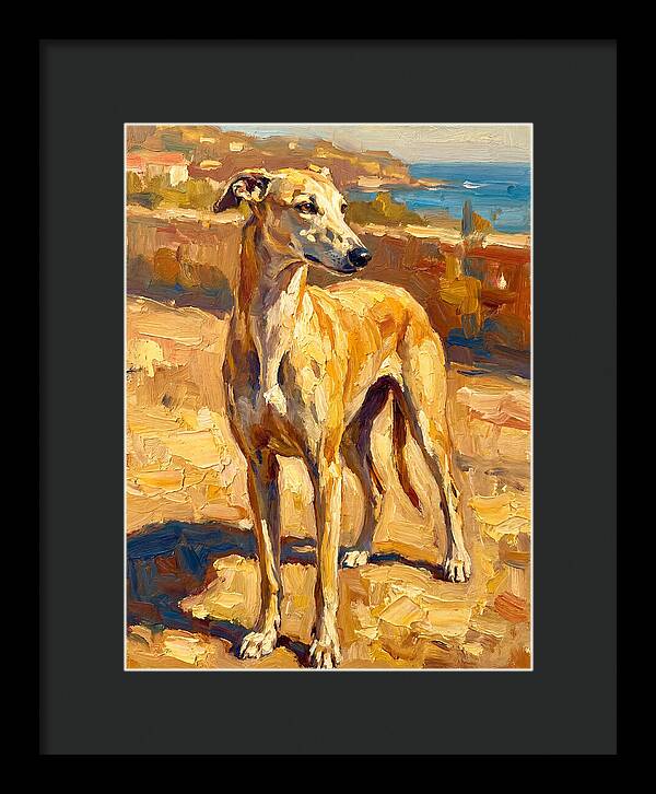 Mediterranean Greyhound Portrait