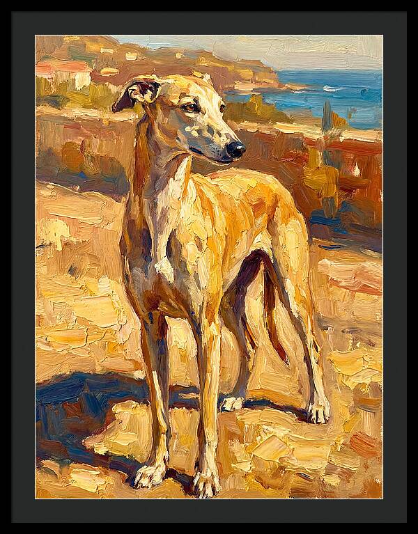 Mediterranean Greyhound Portrait