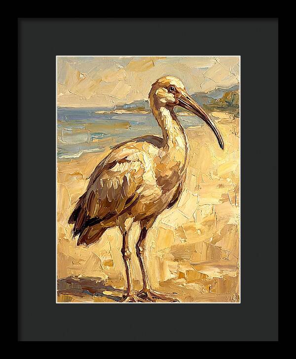 Mediterranean Ibis By The Shore