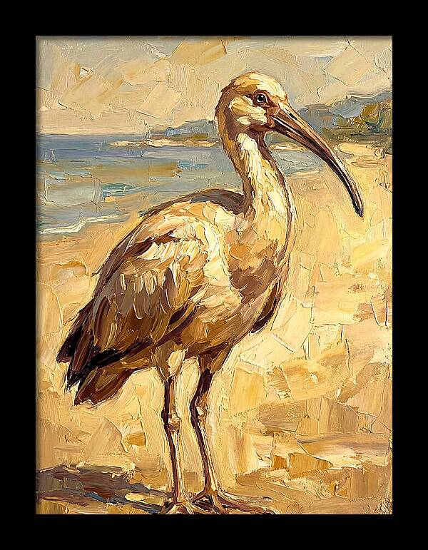 Mediterranean Ibis By The Shore