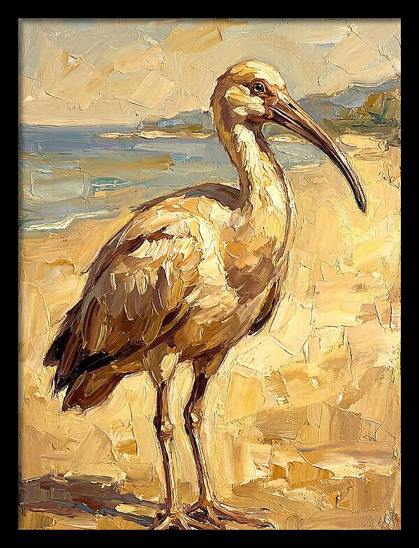 Mediterranean Ibis By The Shore