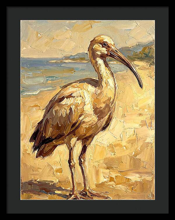 Mediterranean Ibis By The Shore