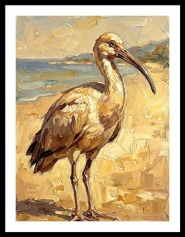 Mediterranean Ibis By The Shore