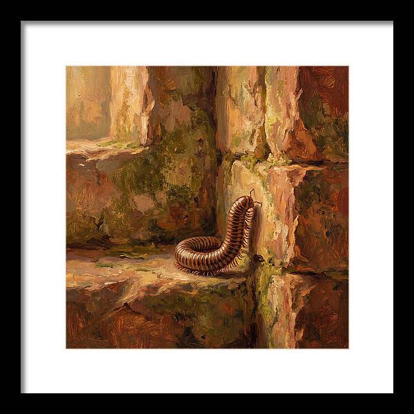 Mediterranean Millipede Encounter