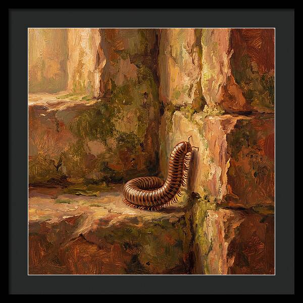 Mediterranean Millipede Encounter