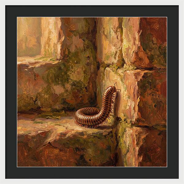 Mediterranean Millipede Encounter