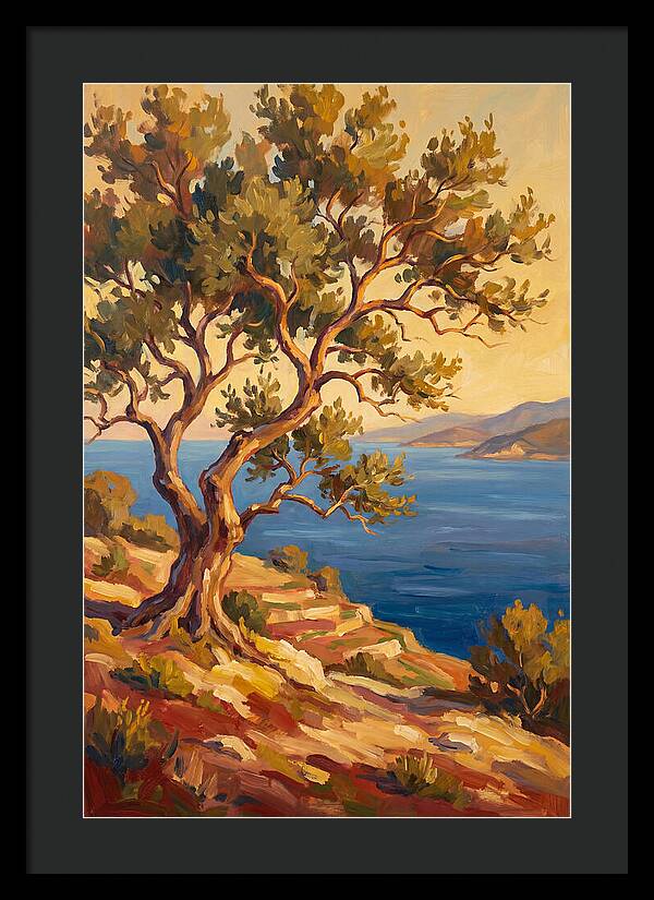 Mediterranean Oak Serenity