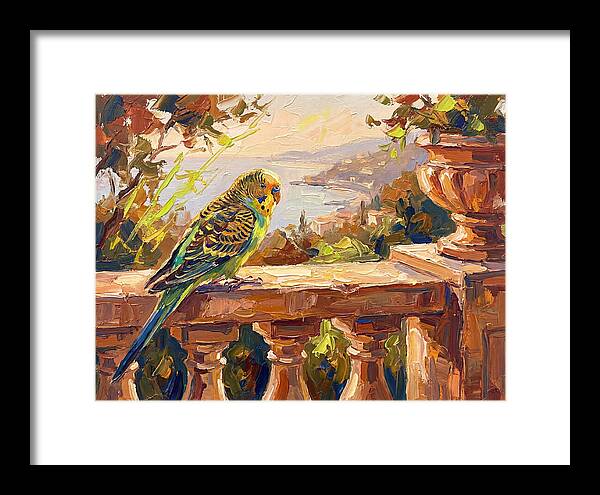 Mediterranean Parakeet Serenity
