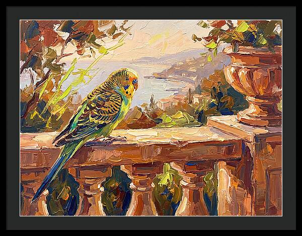 Mediterranean Parakeet Serenity