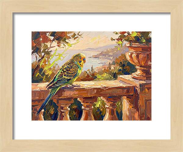 Mediterranean Parakeet Serenity