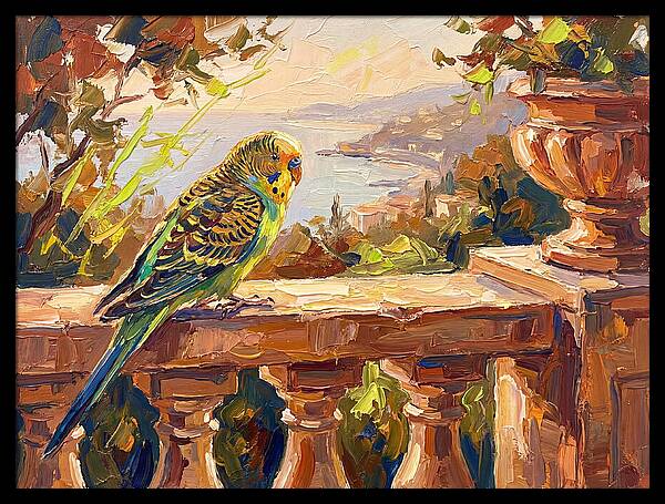 Mediterranean Parakeet Serenity