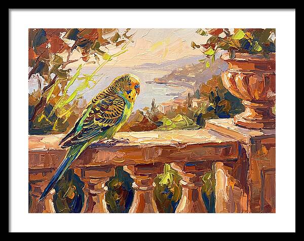 Mediterranean Parakeet Serenity